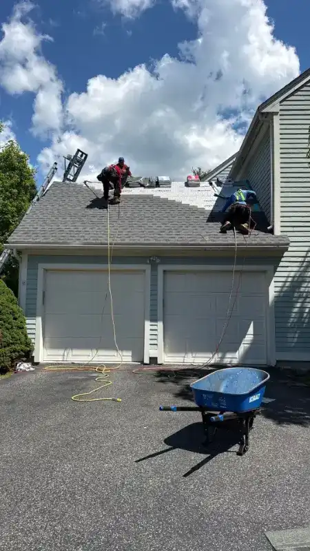 Down net http20260728 234 qrru9h